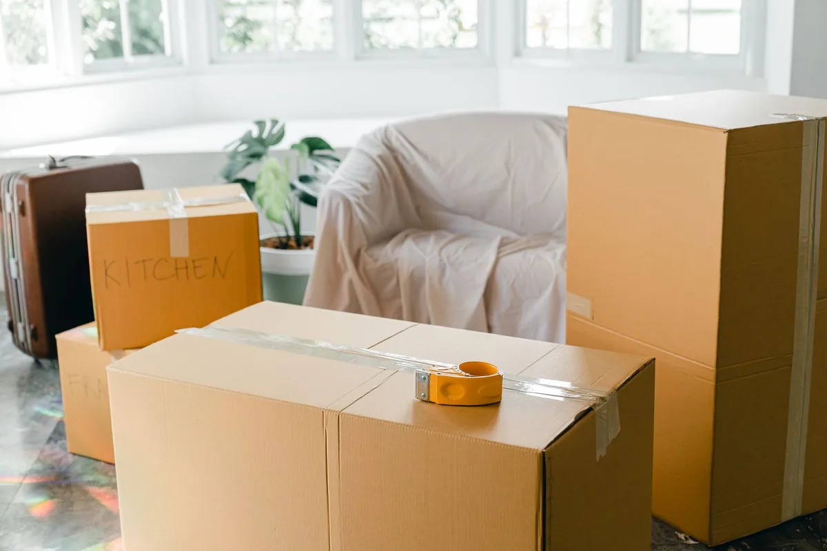 Hoarding Cleanup in Tarpon Springs, FL